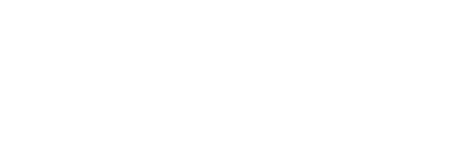 shopify-plus-partner-logo.png